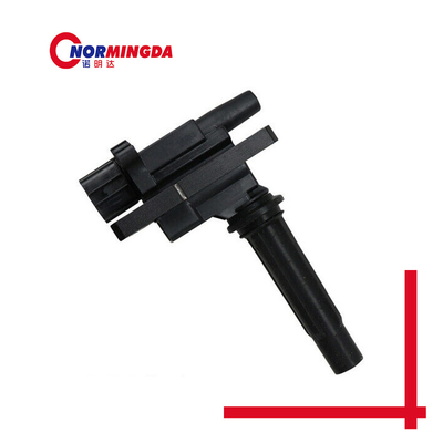 High Performance Ignition Coil 976330 OEM Standard Size 976343 976373 ZM0118100
